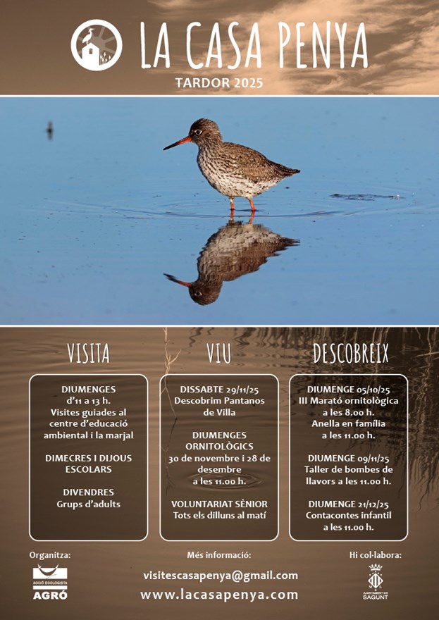 Contacontes: Carolina, la tortuga d’estany